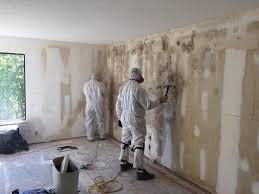 Asbestos and Lead Testing During Mold Inspection in Fairland, MD